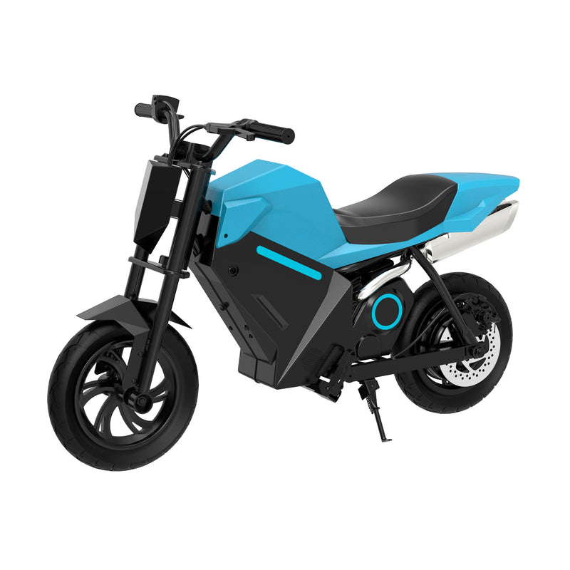 Charger l'image dans le visualiseur de la galerie, ADV250 Moto électrique pour enfants