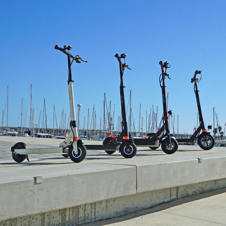 High-Performance Electric Scooters for Off-Road & Private Use