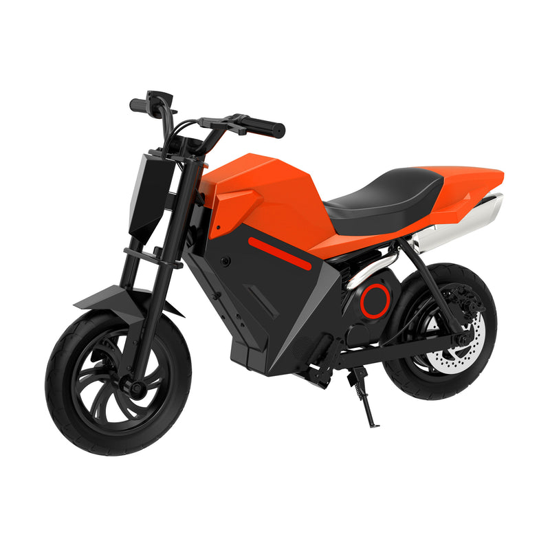 Load image into Gallery viewer, APTUM ADV250 Electric Kids Motorcycle
