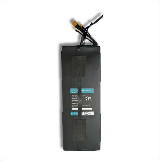 Li-ion battery for Smart Electric Scooter C10, 48V 10.4Ah replacement battery.