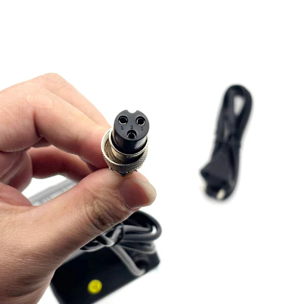 Cargar imagen en el visor de la Galería, 48v electric scooter charger with european plug and aviation connector
